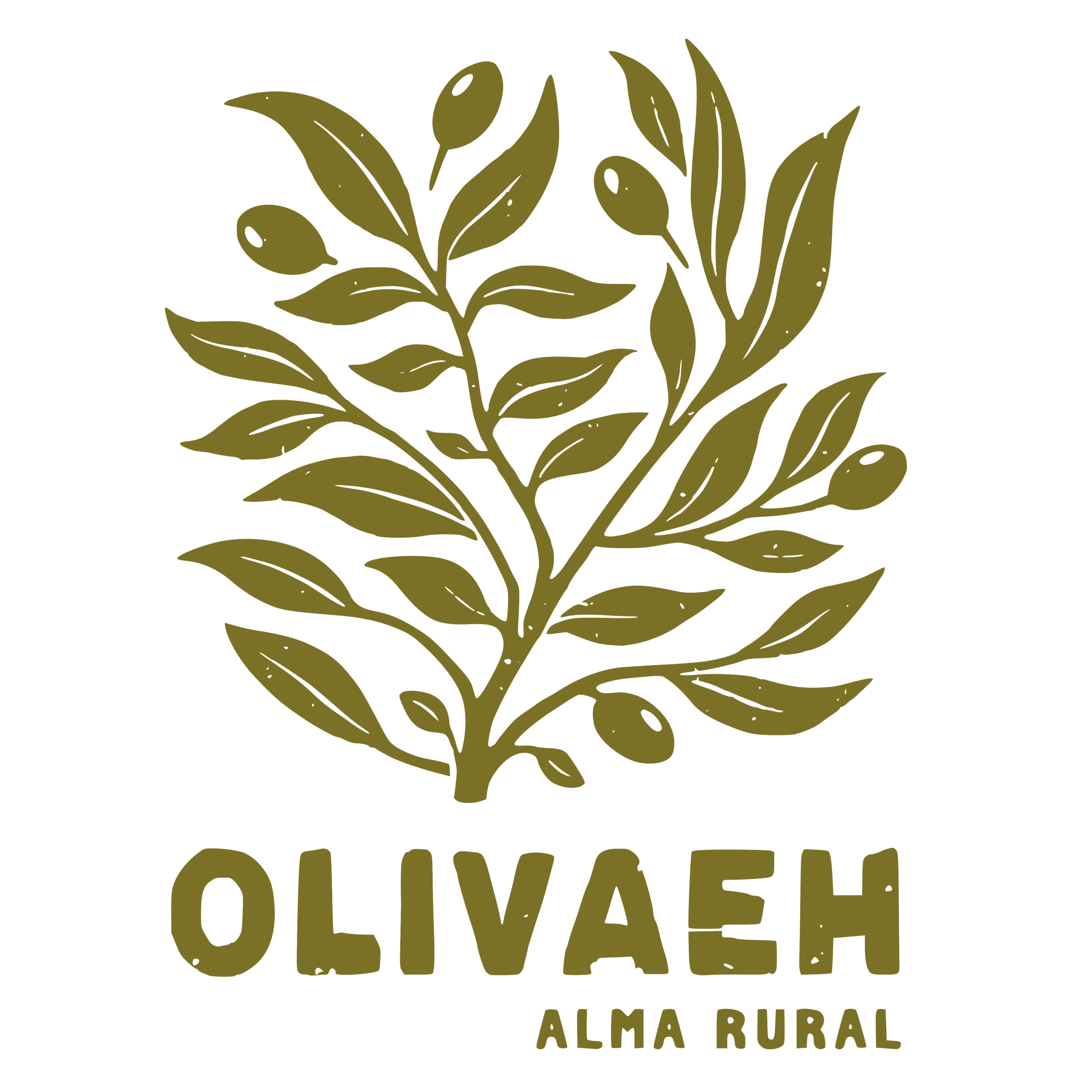 Olivaeh